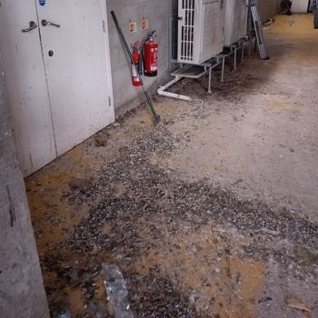 IMG_20240530_160727437